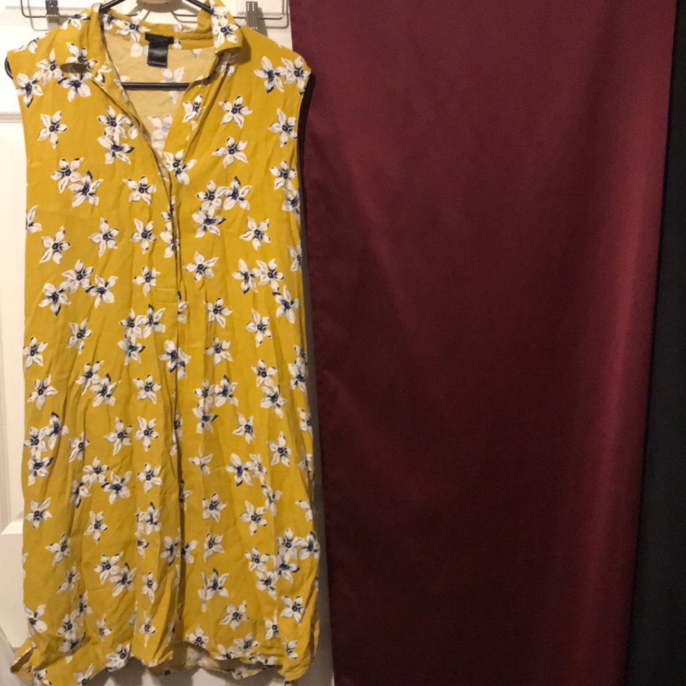 Ann Taylor Dress